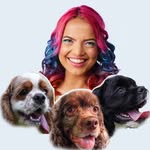 Anna Layza’s Dogs 🐾 - @annalayzadogs - Instagram