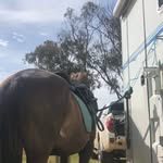Anna Leahy - @anna_eventing0 - Instagram