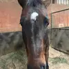 Anna lehr - @annalehr30 - TikTok