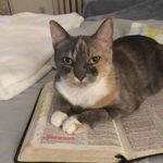 Anna Lehr - @everythingtea3 - Instagram