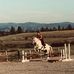Anna Lehr - Facebook