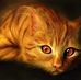 Anna Leonhardt - Facebook