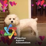 Anna Lerman - Facebook
