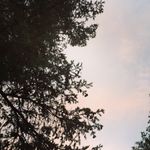 Anna leroy - @anna_leroy_ - Instagram