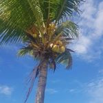 Anna Leroy - @annaleroy55 - Instagram