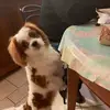 Anna Leroy - @anna.leroy1 - TikTok