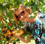 Anna Lipp - Facebook