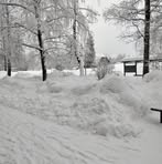 Anna Lipp - Facebook