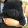 Anna_lloyd_ - @anna_lloyd_ - TikTok