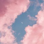 ANNA PILEBÆK LOCK - @annalock - Instagram