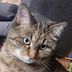 Anna Lorber - Facebook