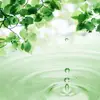 anna_lovato03 - @anna_lovato03 - TikTok
