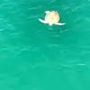 user624179 - @anna.lovelace - TikTok