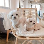 anna._.yun - @anna._.lovely - Instagram
