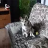 Anna Luczak - @anna.luczak8 - TikTok