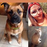 Anna - @anna_ludwig_luna_jan - Instagram