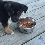 Anna Lueck - Facebook