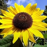 Anna Lundblad - @1lullebulle - Instagram