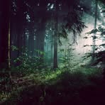 Anna Lupin - Facebook