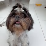 Anna Lurian Santana Do Amparo - @annalurian - Instagram