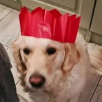 Anna Lynch - Facebook