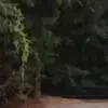 Anna Lynch - @anna.lynch4 - TikTok