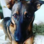 Anna MacGregor - @anmac0962 - Instagram