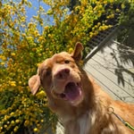 Anna & Mack - @a_teen_and_her_toller - Instagram