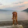 Anna & Mack - @a_teen_and_her_toller - TikTok