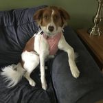 Anna MacLennan - @anna_nuf_maclennan - Instagram