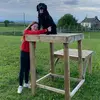 annamaclennan3 - @anna._.backup.acc - TikTok