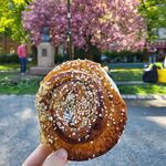 Anna MacMillan - @journalling_foodie - Instagram