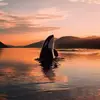 Anna Mączka - @anna.mczka0 - TikTok