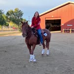 Anna Mangan - @anna_mangan_horses - Instagram
