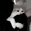 Annamapp07 - @iim.0i7 - TikTok