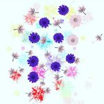 super spams - @anna_mappewali - Instagram