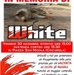 Anna Marotta - Facebook