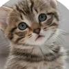 __anna__marton_ - @__anna__marton_ - TikTok