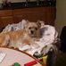 Anna Maxey - Facebook