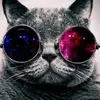 AnnaMaximova6 - @annamaximova6 - TikTok