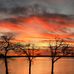 Anna McAfee - Facebook