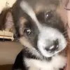 Annamcbrayer. - @annamcbrayer5 - TikTok