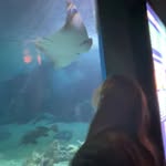 Anna McCarthy - @1singular._.sensation - Instagram