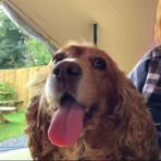 Anya McCusker - Facebook