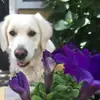 annamcgonigal - @anna.mcgonigal - TikTok