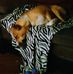 Steve Anna McGowan - Facebook