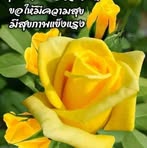 Anna Mckane - Facebook