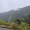 Anna McKay - @anna.mckay0 - TikTok