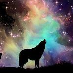 Ana Mcminn - Facebook