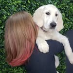 Anna McSherry - @banananellie - Instagram